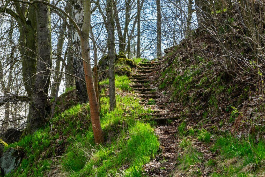 Ein ruhiger Waldweg mit einzelnen Stufen steht für kleine Schritte in eine neue Richtung