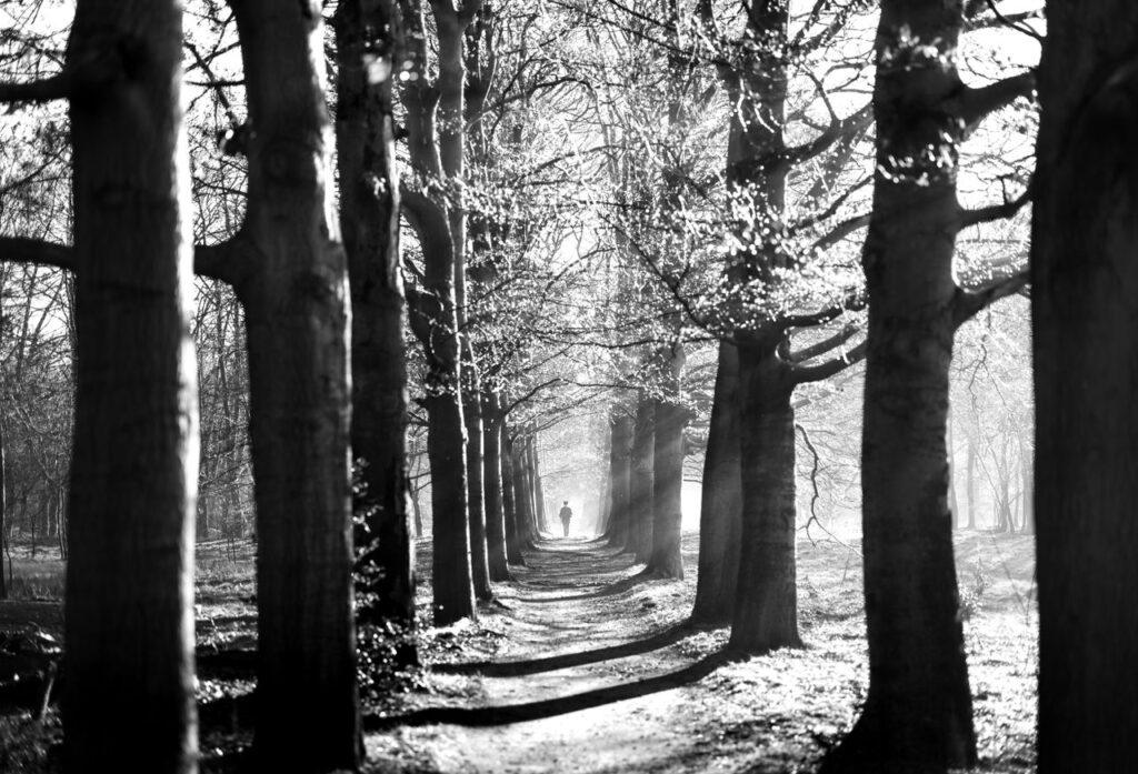 Ein Mann geht im Sonnenlicht einen Waldweg entlang und beginnt trotz Unsicherheit